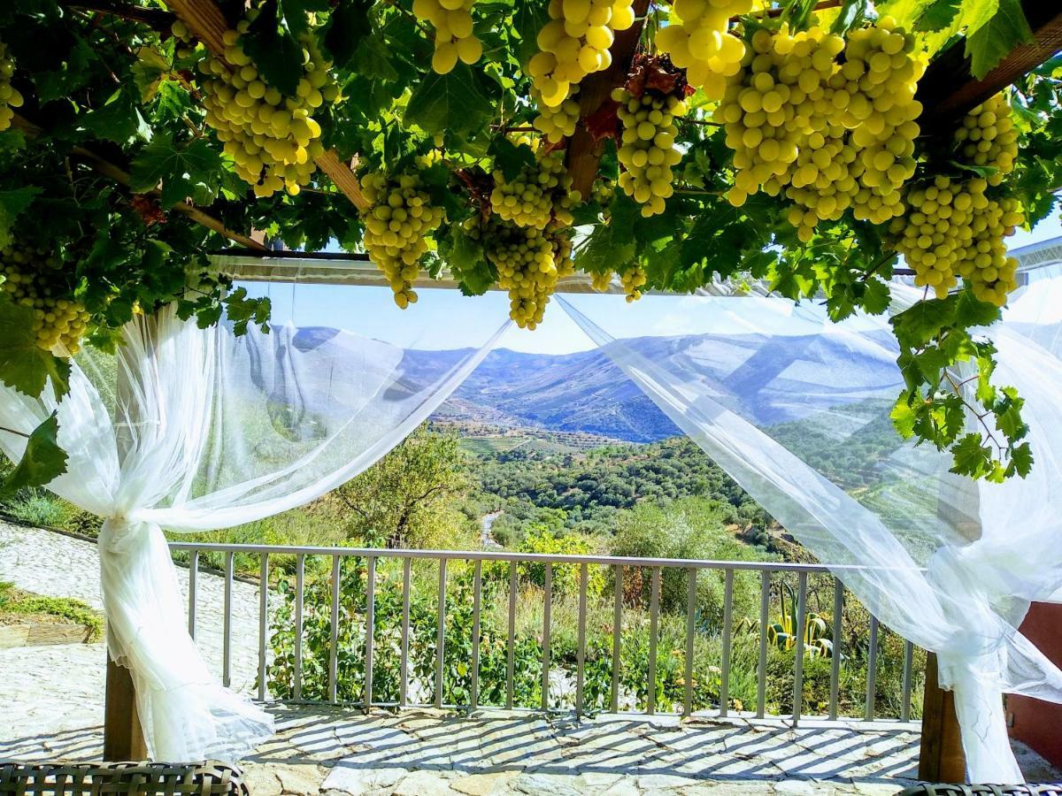 Гостевой дом Quinta Vale De Carvalho Pinhal do Douro Экстерьер фото