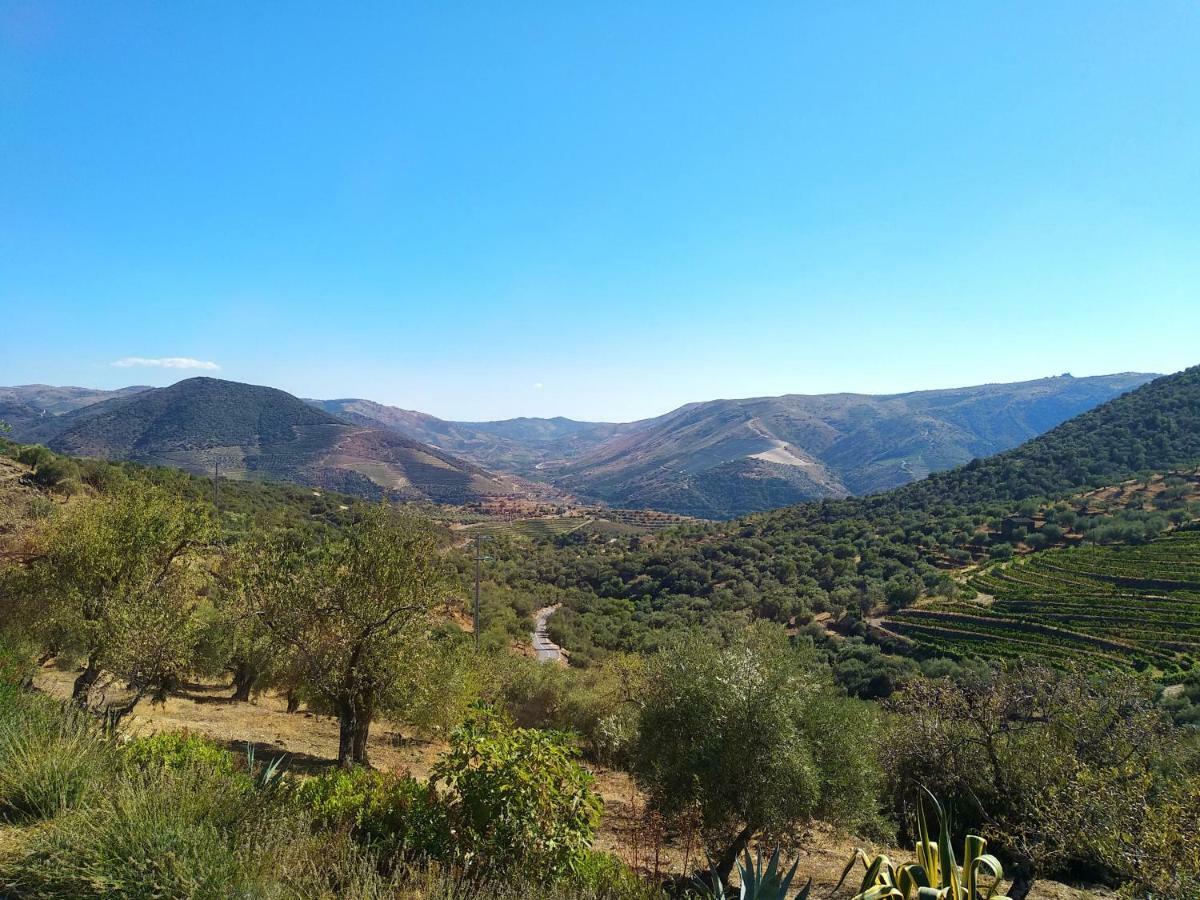 Гостевой дом Quinta Vale De Carvalho Pinhal do Douro Экстерьер фото